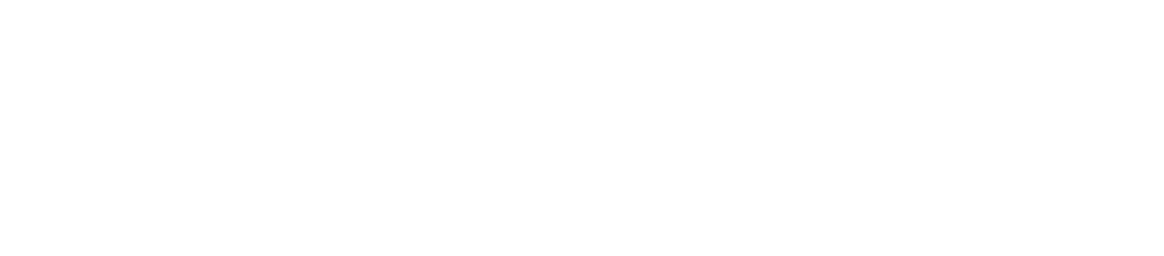 LEIPOLE